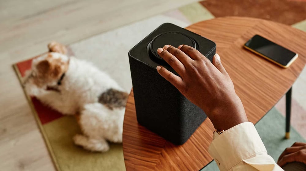 Bluetooth Speakers May be Dangerous For Your Pets: Study