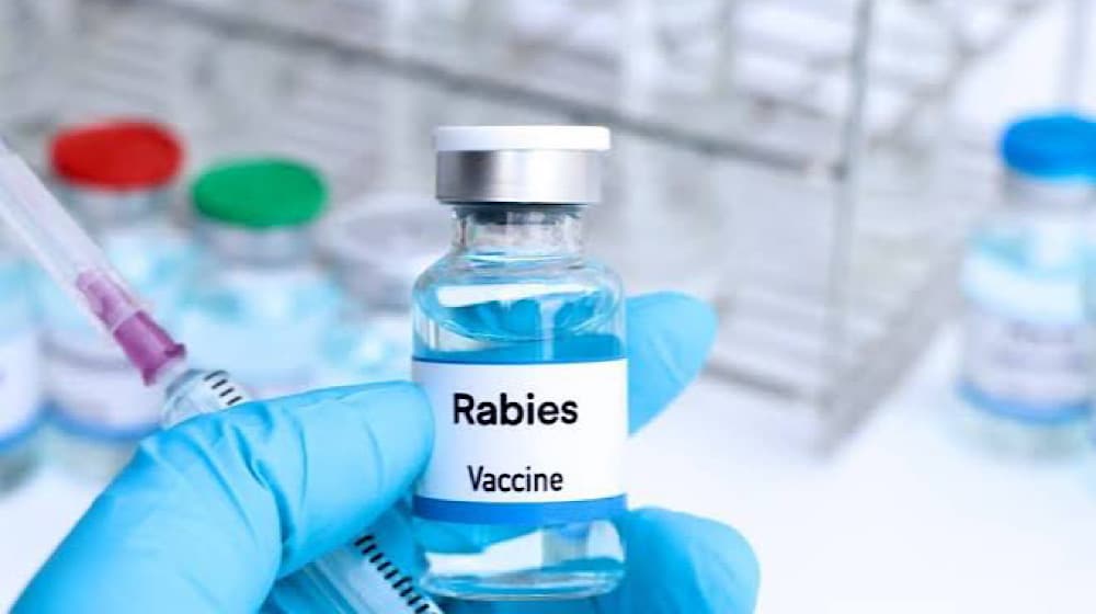 Dow University Launches Locally Manufactured Anti-Rabies Vaccine