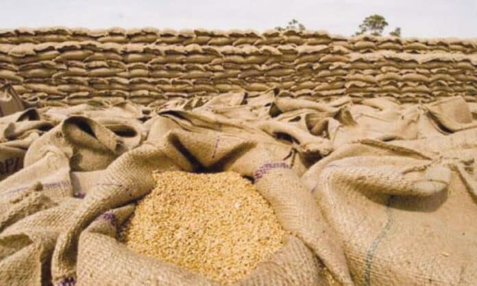 Probe Committee Still Hasn’t Submitted Inquiry Report on Substandard Wheat Imports