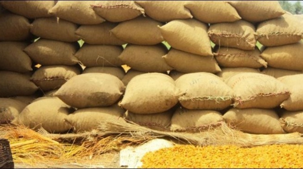 ECC Increases Wheat Procurement Target for PASSCO