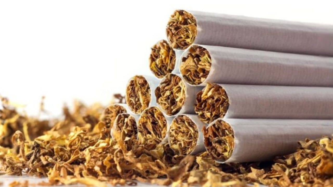 Short-Sighted Policies: IMF Urges High Taxation on Already Heavily Taxed Tobacco Sectors