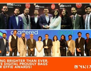 Synergy Group Wins Big at the Effie Awards 2024