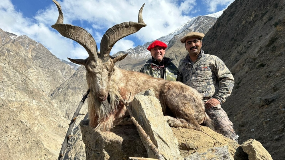 Here’s How Much Gilgit Baltistan Earned Through Markhor Trophy Hunting