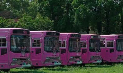 Pink Bus