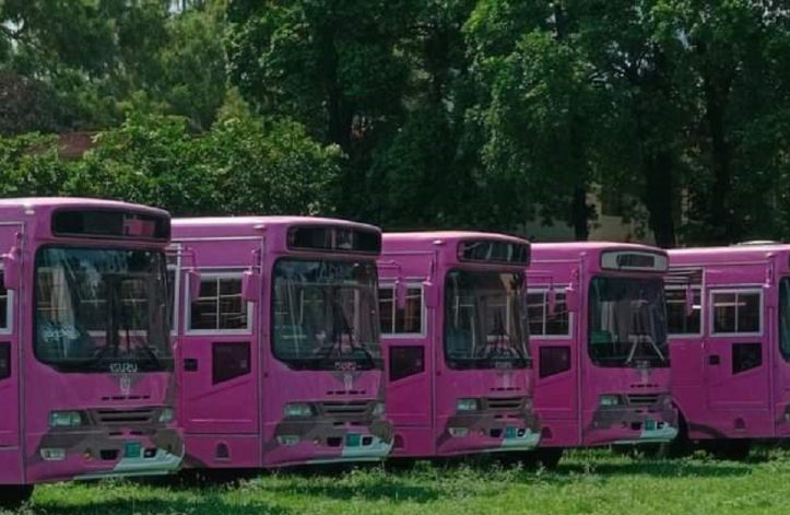 Pink Bus