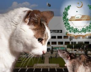 cda parliament house rats
