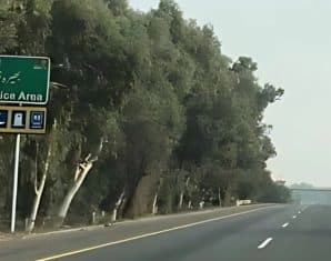 motorway bhera