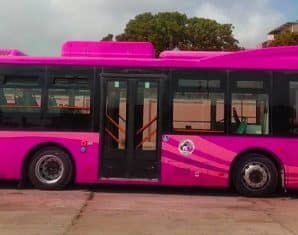 Pink Bus Service