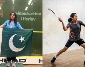 mehwish ali