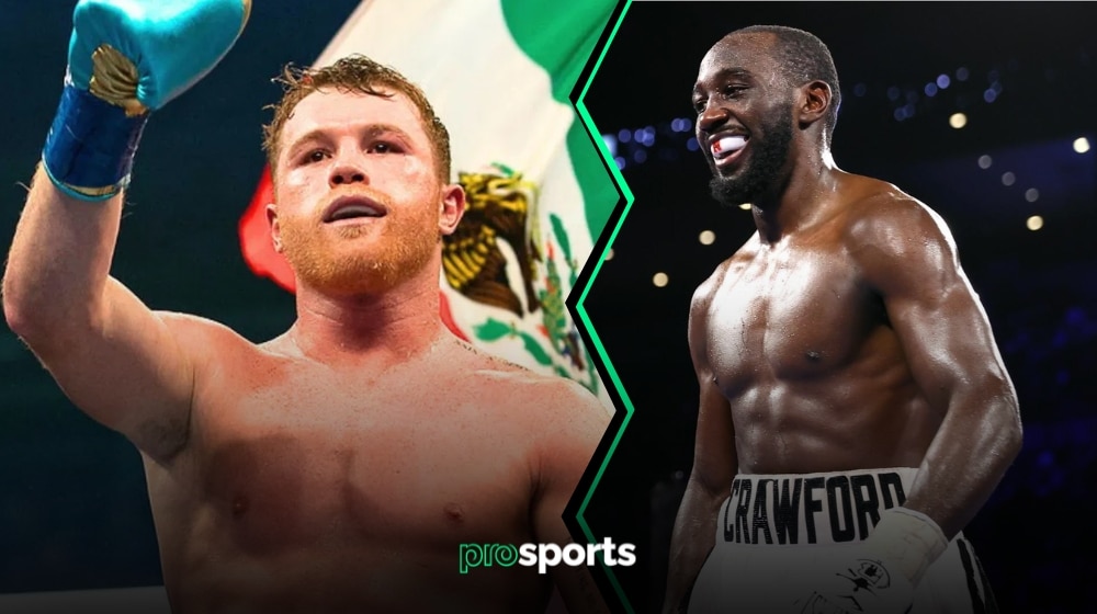 Terence Crawford will replace Jake Paul for Canelo Alvarez fight