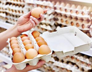 eggs