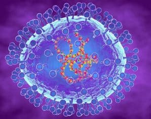 Metapneumovirus