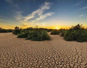 drought