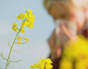pollen