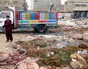 Dumper Truck Owners Refuse Eid ul Adha Animal waste