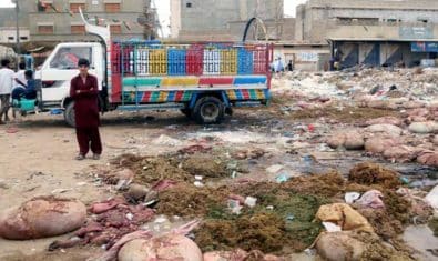 Dumper Truck Owners Refuse Eid ul Adha Animal waste