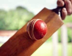 ai balls cricket