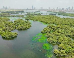 Karachi to Get New Mangrove and Biodiversity Park