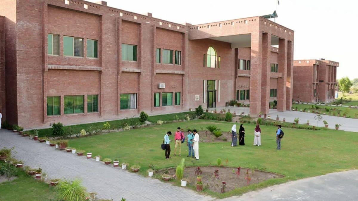 University of Veterinary and Animal Sciences UVAS vacancies announcement