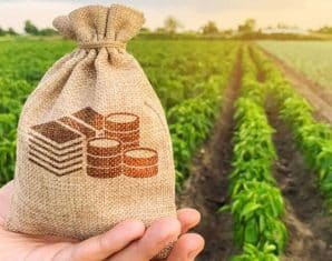 Punjab Proposes Increase in Agricultural Tax and Water Charges
