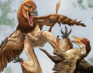 Rare 120-Million-Year-Old Fossil Reveals Four-Winged Dinosaur Species