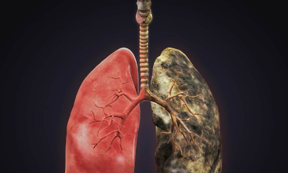 Scientific visualization of a lung cancer drug targeting malignant cells