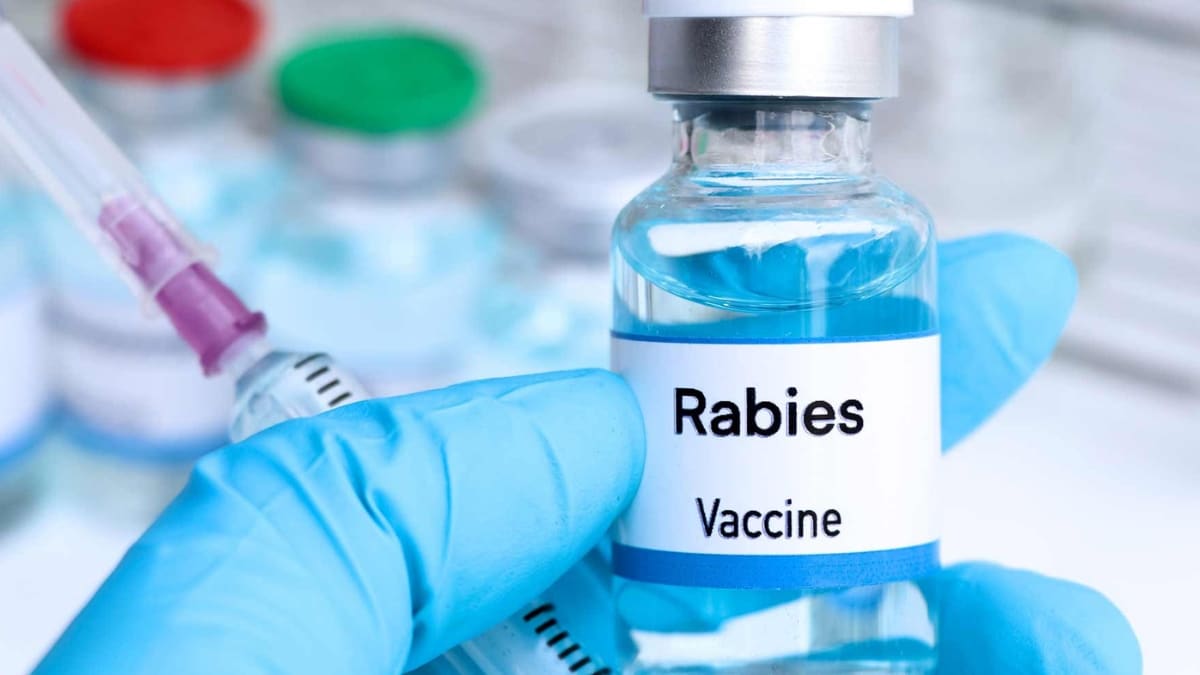 karachi-teen-dies-of-rabies-despite-receiving-vaccine-at-govt-hospital