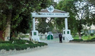 Pakistan Forest Institute Announces Admissions