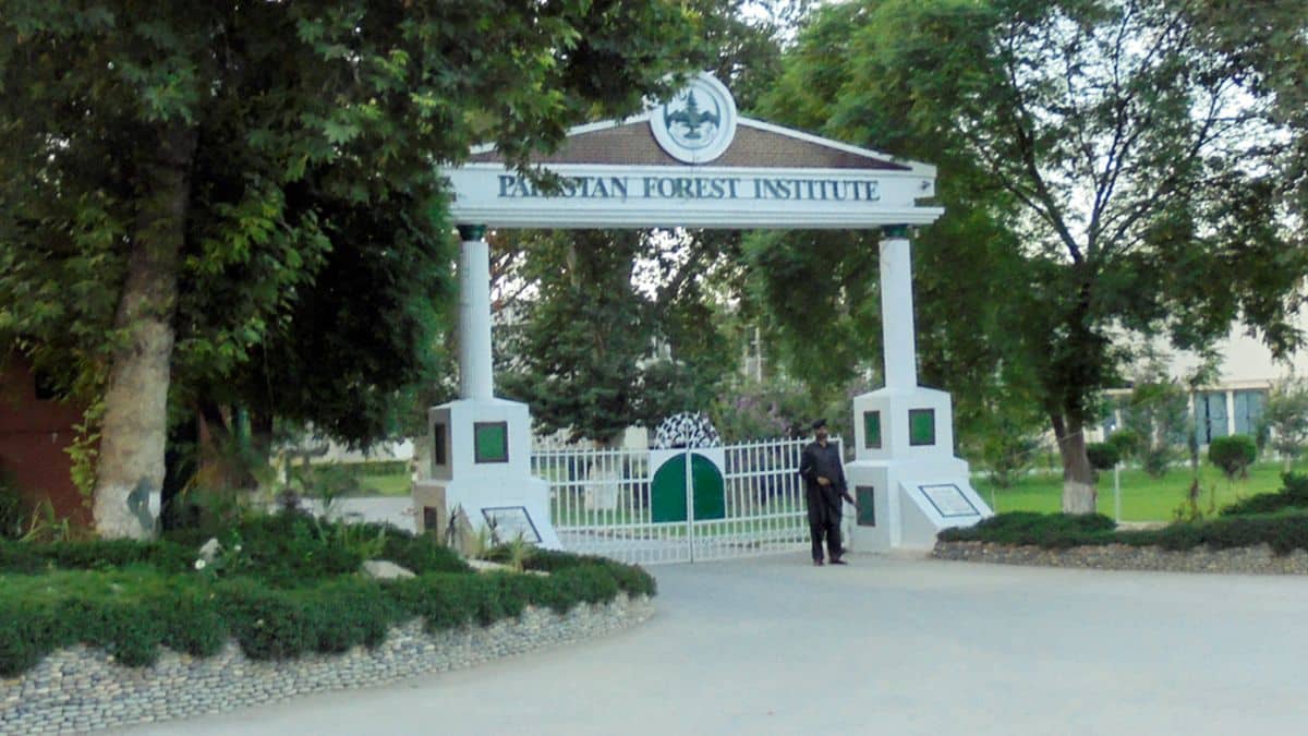Pakistan Forest Institute Announces Admissions