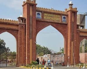 University of Agriculture Faisalabad Jobs