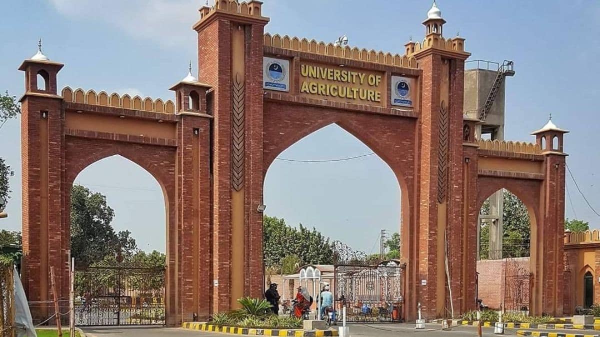 University of Agriculture Faisalabad Jobs