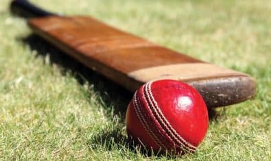 cricket