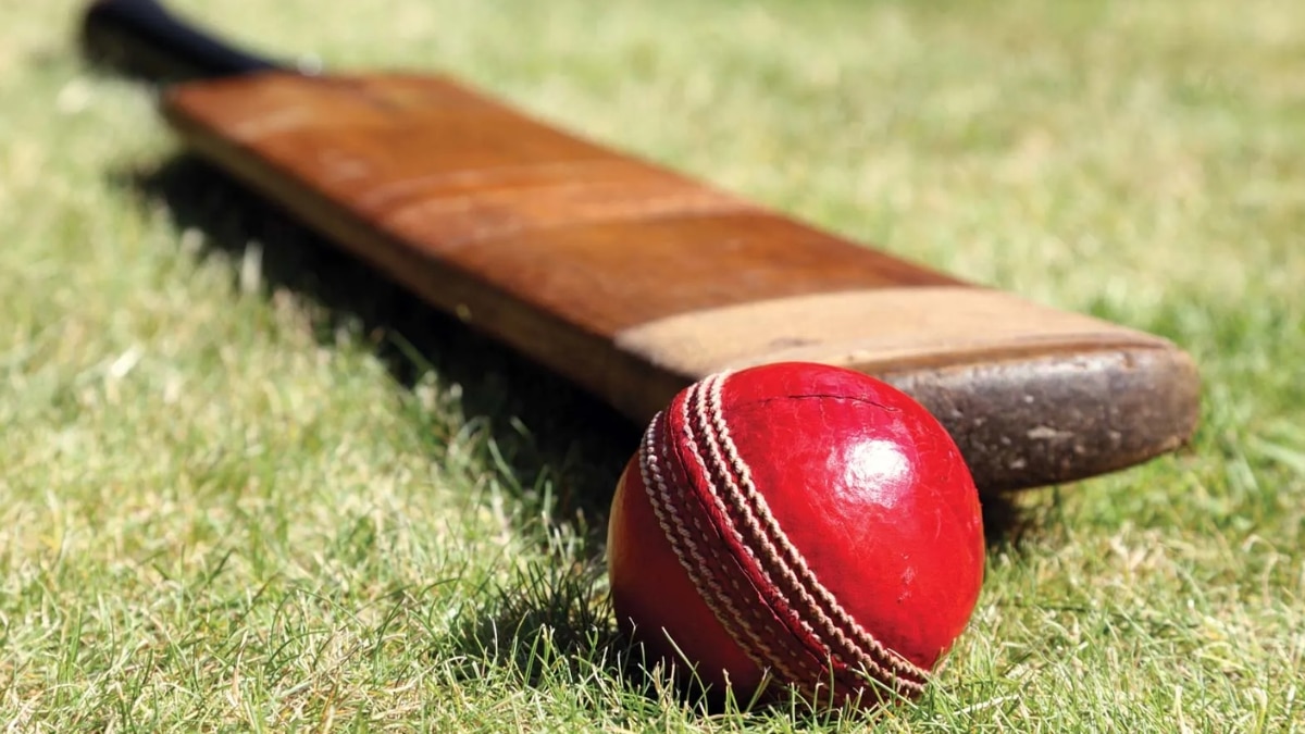 cricket